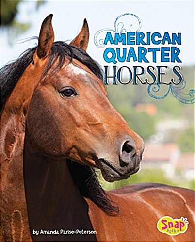 American Quarter Horses (Hardcover)