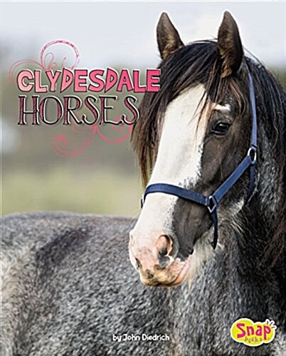 Clydesdale Horses (Hardcover)