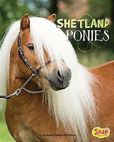 Shetland Ponies (Paperback)