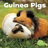 Guinea pigs 