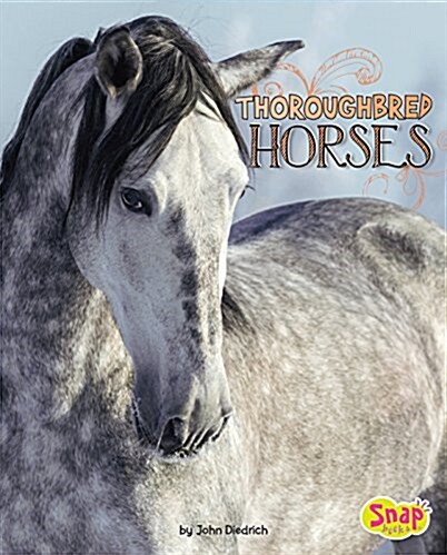 Thoroughbred Horses (Hardcover)