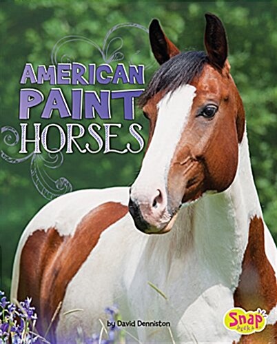 American Paint Horses (Paperback)