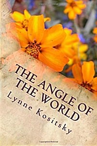 The Angle of the World (Paperback)