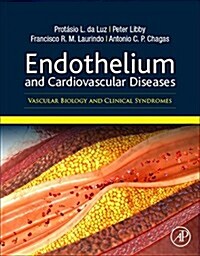 Endothelium and Cardiovascular Diseases: Vascular Biology and Clinical Syndromes (Paperback)