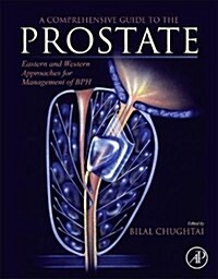 A Comprehensive Guide to the Prostate: Eastern and Western Approaches for Management of BPH (Paperback)