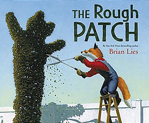 [중고] The Rough Patch (Hardcover)
