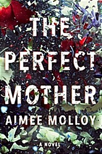 The Perfect Mother (Hardcover)