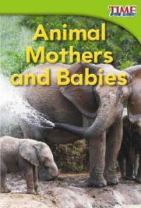 Animal mothers and babies 