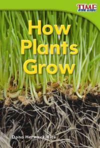 How plants grow 