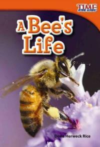 (A) bee's life 