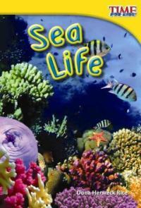 Sea life 