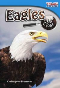 Eagles up close 