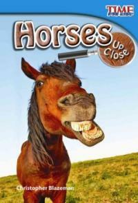 Horses Up Close (Early Fluent) (Paperback, 2)