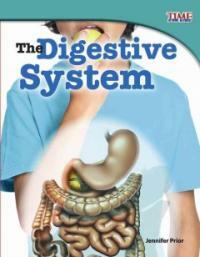 (The) digestive system 