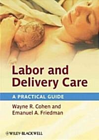 Labor and Delivery Care : A Practical Guide (Hardcover)