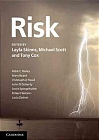 Risk (Paperback)