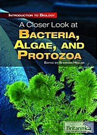 A Closer Look at Bacteria, Algae, and Protozoa (Library Binding)