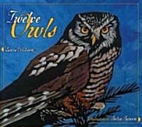 Twelve Owls (Hardcover)