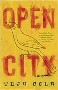 Open City (Paperback)