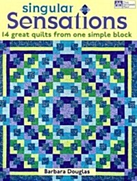 Singular Sensations: 14 Great Quilts from One Simple Block (Paperback)