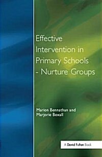 Effect Intervention in Primary School (Hardcover)