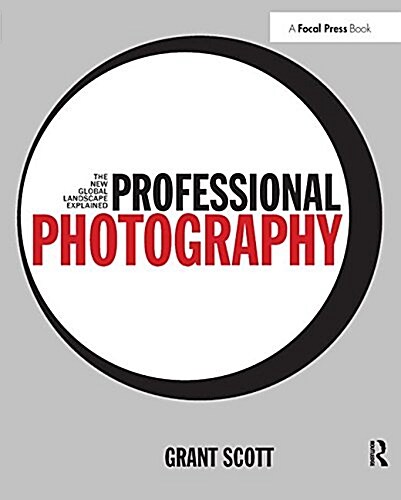 Professional Photography : The New Global Landscape Explained (Hardcover)