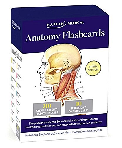 Anatomy Flashcards (Other)