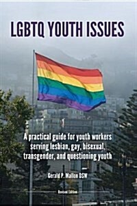 LGBTQ Youth Issues (Paperback)