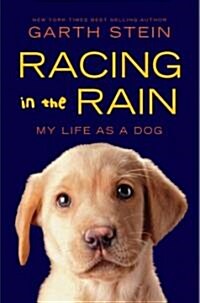 [중고] Racing in the Rain: My Life as a Dog (Hardcover)