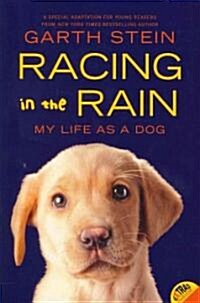 [중고] Racing in the Rain: My Life as a Dog (Paperback)