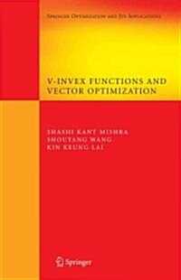 V-invex Functions and Vector Optimization (Paperback)