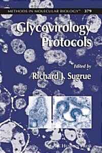 Glycovirology Protocols (Paperback)