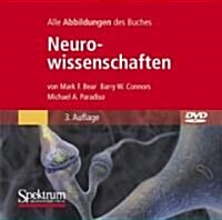 Bild-Dvd, Neurowissenschaften (DVD, 3rd)