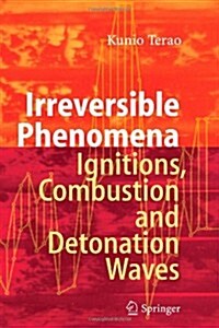 Irreversible Phenomena: Ignitions, Combustion and Detonation Waves (Paperback)