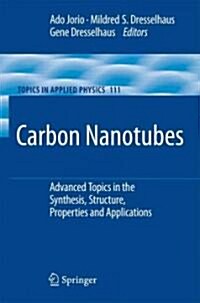 Carbon Nanotubes: Advanced Topics in the Synthesis, Structure, Properties and Applications (Paperback)