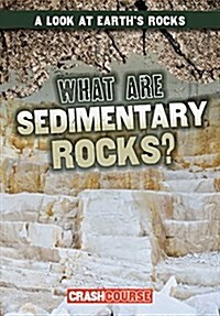 What Are Sedimentary Rocks? (Paperback)
