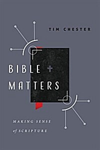 Bible Matters: Making Sense of Scripture (Paperback)