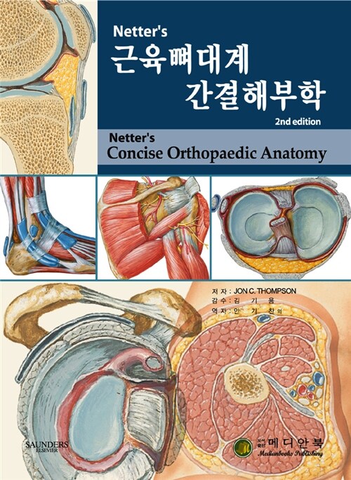 Netters 근육뼈대계 간결해부학