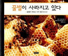 꿀벌이 사라지고 있다 :꿀벌이 전하는 지구 환경 보고서 