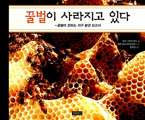 [중고] 꿀벌이 사라지고 있다