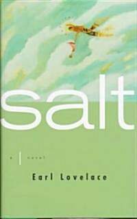 Salt (Hardcover)