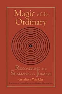 Magic of the Ordinary: Recovering the Shamanic in Judaism (Paperback)