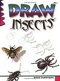 Draw Insects (Paperback)