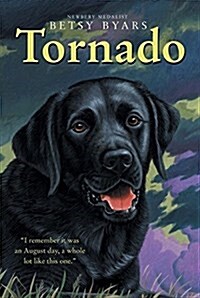 [중고] Tornado (Paperback, Reprint)