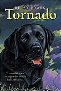 Tornado (Paperback, Reprint)