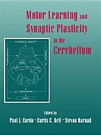 Motor Learning and Synaptic Plasticity in the Cerebellum (Paperback)