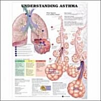 Understanding Asthma Anatomical Chart (Other, 2)