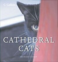 Cathedral Cats (Hardcover, Mini)