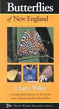 Butterflies of New England (Paperback)