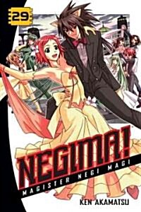 Negima! Magister Negi Magi, Volume 29 (Paperback)
